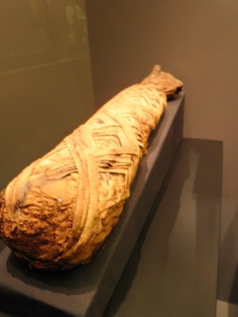 Macskamúmia. Macskamúmia.