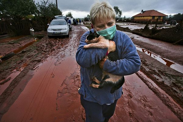 Huszti István MÚOSZ-nagydíjas képe: Túlélők.