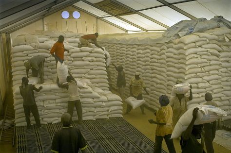 Szudán Darfúr régiójából származó menekültek Csádban, a Treguine nevű menekülttáborban, 72 kilométerre a szudáni határtól. Élelemosztás napja van. Az ENSZ Élelmezésügyi Szervezete (WFP) raktársátrában, a porfelhőben énekelve rakodnak a munkások, így tartják a pakolás ütemét. A munkások a menekültek közül kerülnek ki, akik a WFP alkalmazottaiként a kirakodott zsákok után tonnánként 10,000 CFA frankot kapnak.  Az élelmiszert tartalmazó csomagokat a sátorból szamárkordéval viszik a párszáz méterrel arrébb álló élelemosztó pontra, ahol szétosztják a menekültek között. © UNHCR / F. Noy /  2011. december Szudán Darfúr régiójából származó menekültek Csádban, a Treguine nevű menekülttáborban, 72 kilométerre a szudáni határtól. Élelemosztás napja van. Az ENSZ Élelmezésügyi Szervezete (WFP) raktársátrában, a porfelhőben énekelve rakodnak a munkások, így tartják a pakolás ütemét. A munkások a menekültek közül kerülnek ki, akik a WFP alkalmazottaiként a kirakodott zsákok után tonnánként 10,000 CFA frankot kapnak.  Az élelmiszert tartalmazó csomagokat a sátorból szamárkordéval viszik a párszáz méterrel arrébb álló élelemosztó pontra, ahol szétosztják a menekültek között. © UNHCR / F. Noy /  2011. december