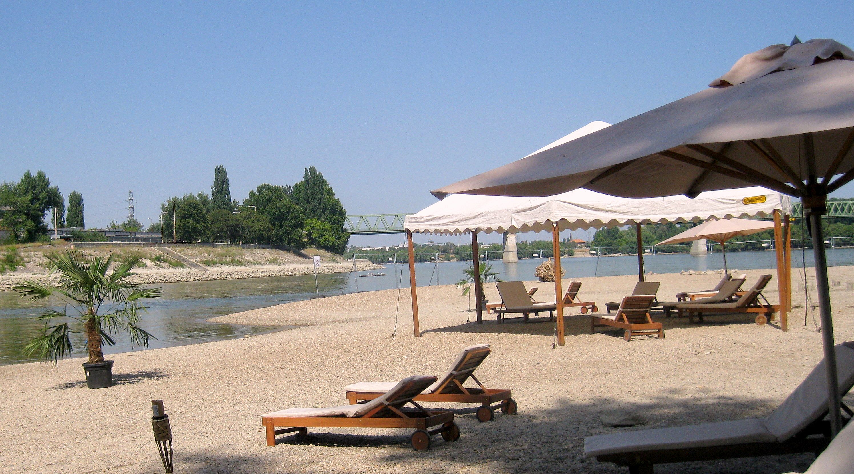 Sziget Beach: Duna-part pálmafákkal.