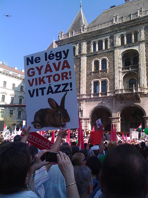 Kép: LigetPress.
