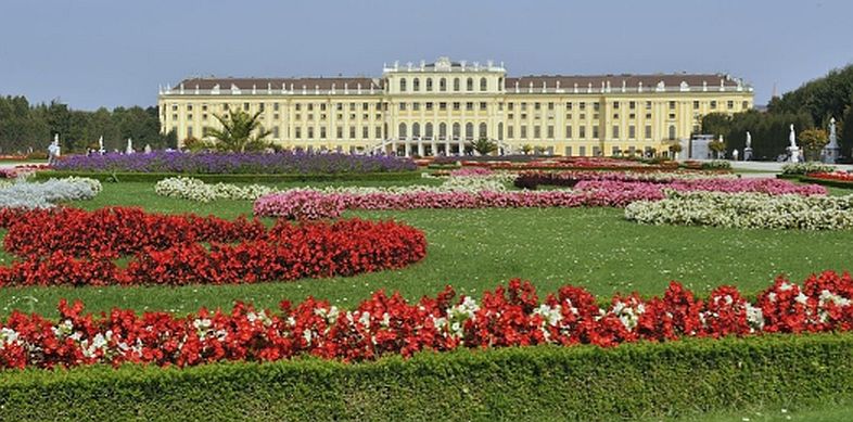 Schönbrunni kastély virágágyással, Copyright: Schaub-Walzer / PID