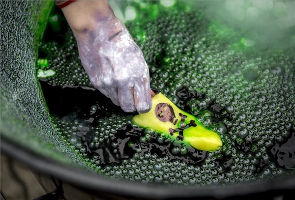 A Greenpeace Magyarország aktivistáinak Veszélyes vegyszerek a paprikában című performansza Budapesten 2015. március 31-én. A Greenpeace március elején, közjegyző jelenlétében hét áruházlánc boltjaiban 12 féle paprikát vett, a független laboratórium nyolcban húszféle vegyszermaradványt talált. Azt javasolják a fogyasztóknak, hogy az ökogazdálkodásból származó termékeket részesítsék előnyben a vásárláskor. (MTI Fotó: Mohai Balázs)