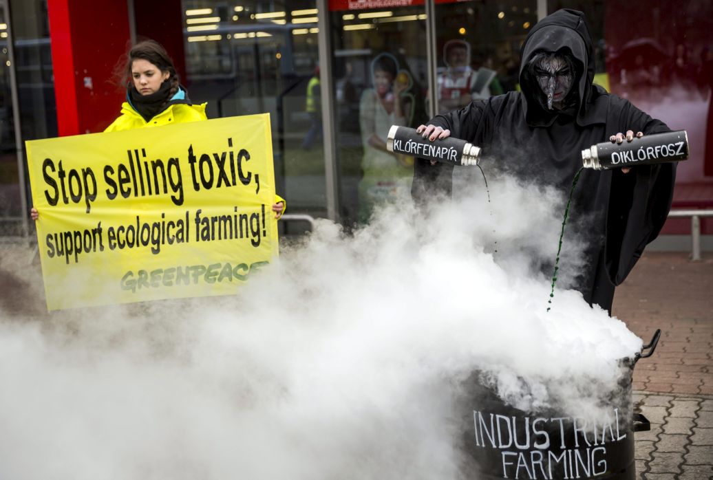 A Greenpeace Magyarország aktivistáinak Veszélyes vegyszerek a paprikában című performansza Budapesten 2015. március 31-én. A Greenpeace március elején, közjegyző jelenlétében hét áruházlánc boltjaiban 12 féle paprikát vett, a független laboratórium nyolcban húszféle vegyszermaradványt talált. Azt javasolják a fogyasztóknak, hogy az ökogazdálkodásból származó termékeket részesítsék előnyben a vásárláskor. (MTI Fotó: Mohai Balázs)
