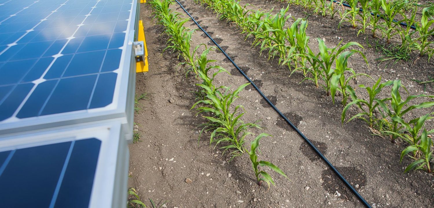 Öntözés napelemmel (Foto: Knie/ WienEnergie)
