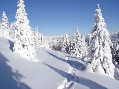 Naturpark Zirbitzkogel-Grebenzen.