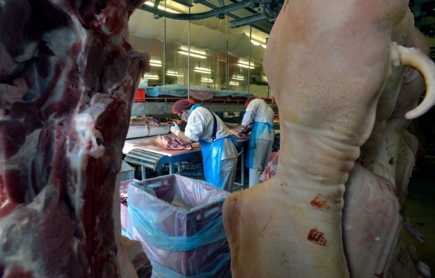 Félsertéseket darabolnak a Spar Magyarország Kereskedelmi Kft. bicskei húsüzemében. MTI Fotó: Máthé Zoltán