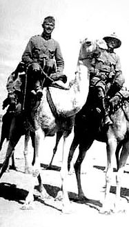 Lovon termett magyar baka tevegel.