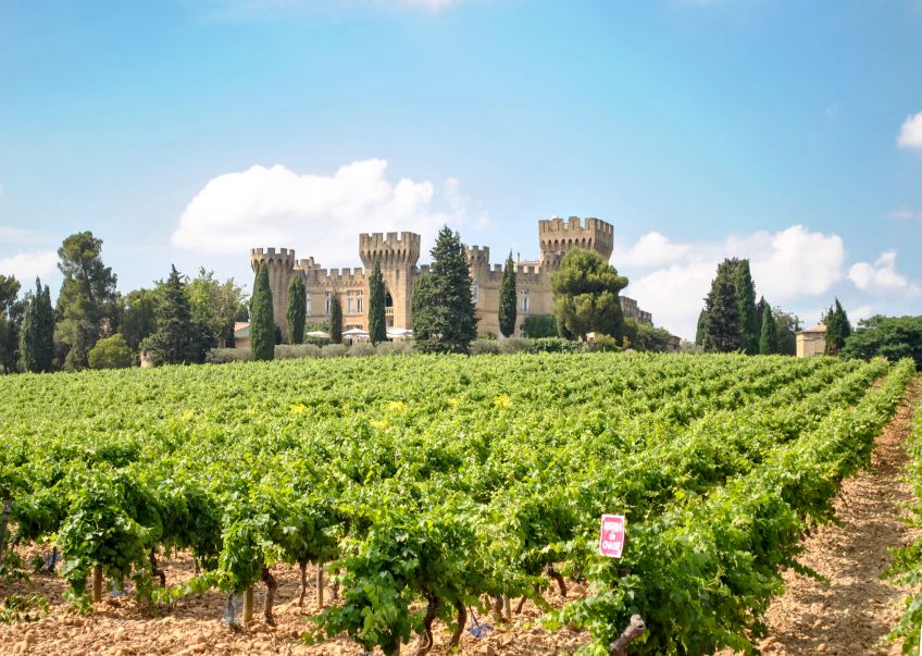 Châteauneuf-du-Pape - Borgazdaság