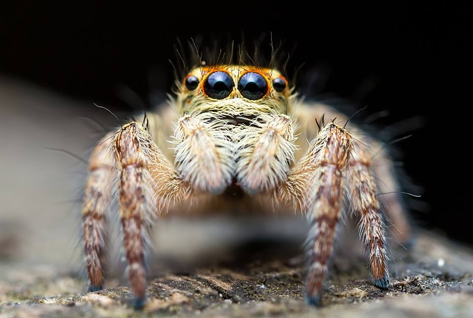A talaj nem korlátlanul rendelkezésre álló erőforrás