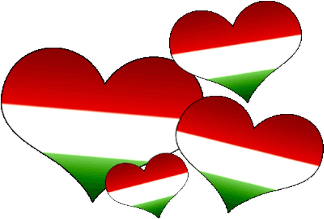 Hogyan kell szeretni a hazát?