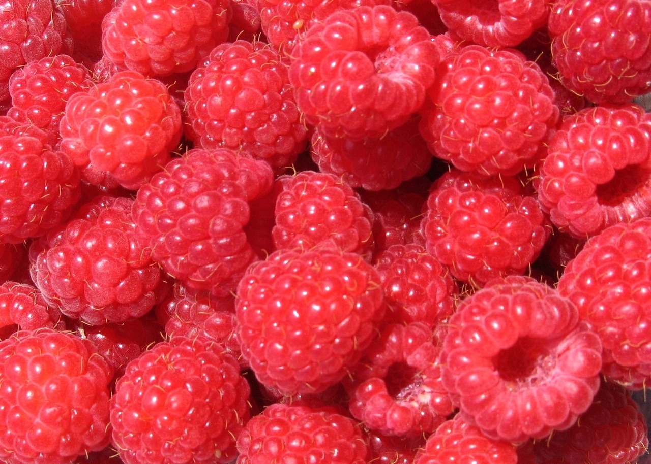 A hazai málnaválság oka a drága munkaerő