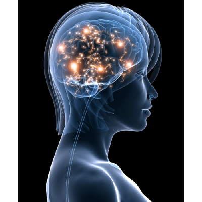 Az agy – az utolsó magánterület is veszélyben van