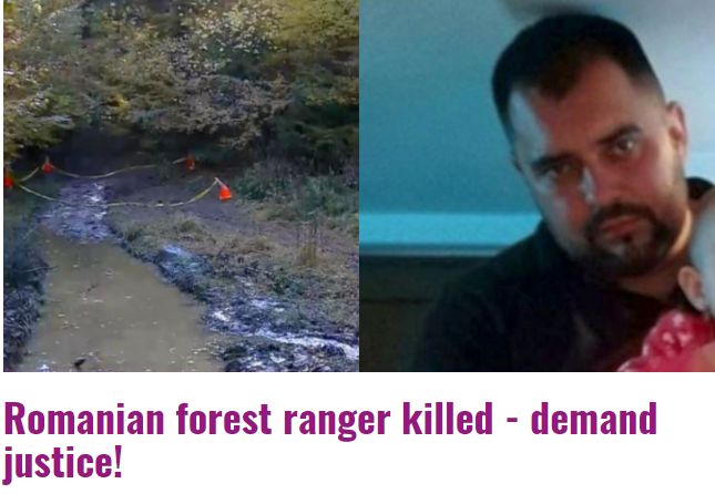 Ki ölte meg a román erdészt?