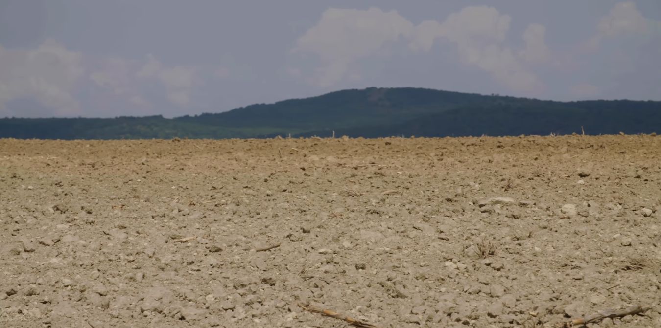 Mérgezett Föld, mérgezett föld – megoldás az ökogazdálkodás