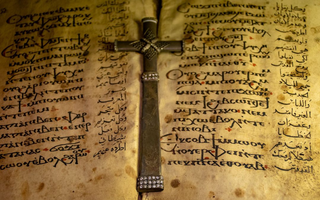 Értette a koptokat: dr. Tóth Margit – Kairó