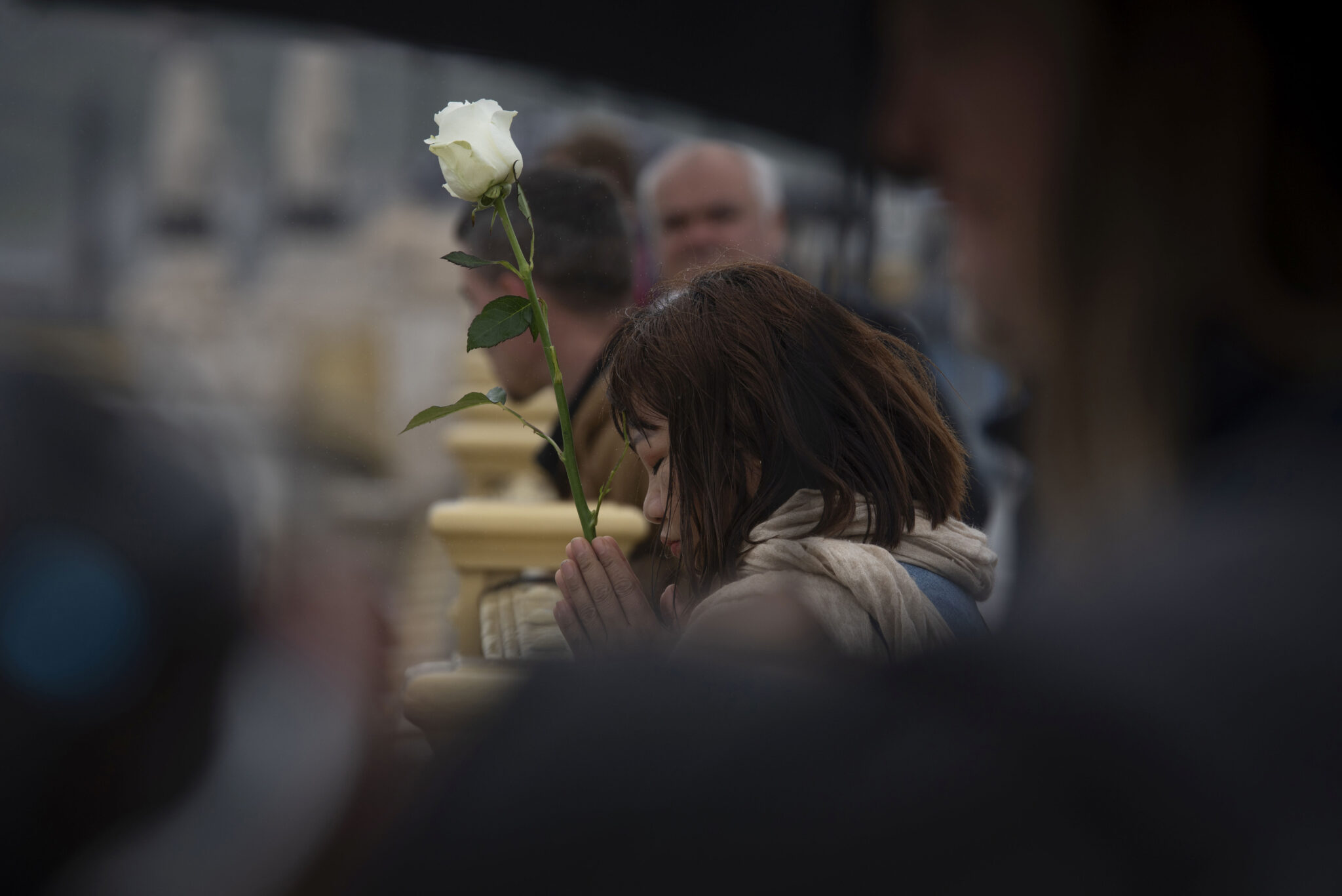 Magyar sajtófotósok csodálatos képei