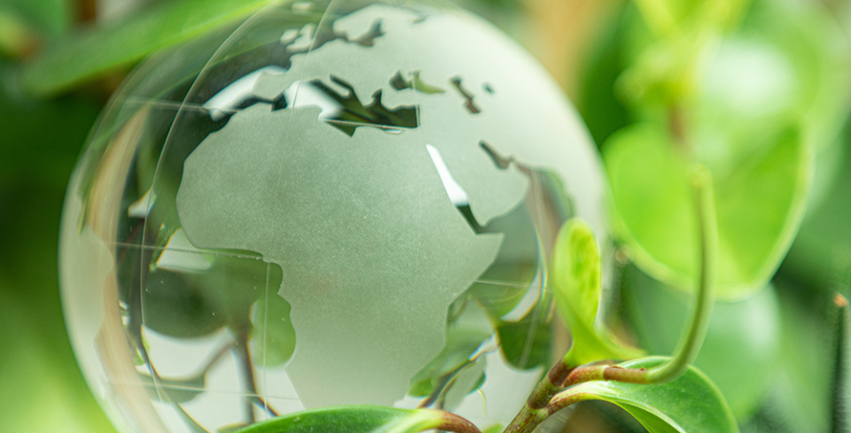 Eljött az igazságos zöld átmenet ideje