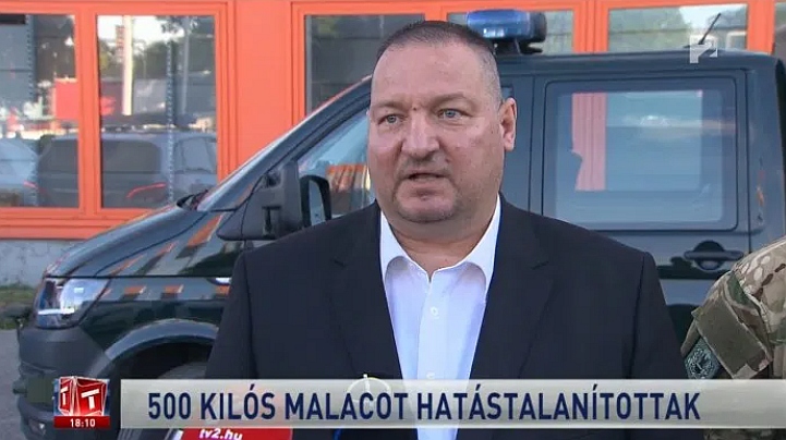 Gratulálunk, eltalálták!