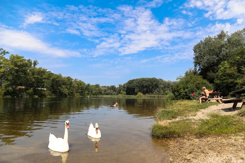 Szabad Bécs szabadstrandokkal