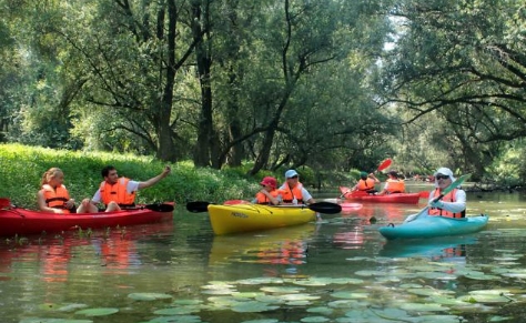Életmentés a Dráván