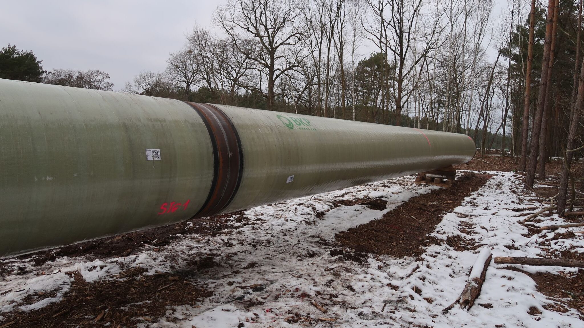 Gazdaság, politika, történelem: Shell és a többiek…