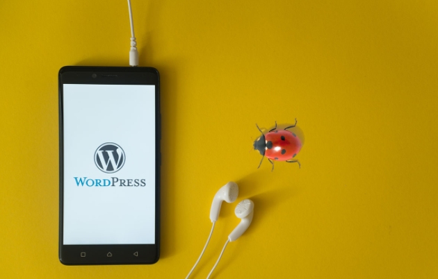 Veszélyben a WordPress oldalak