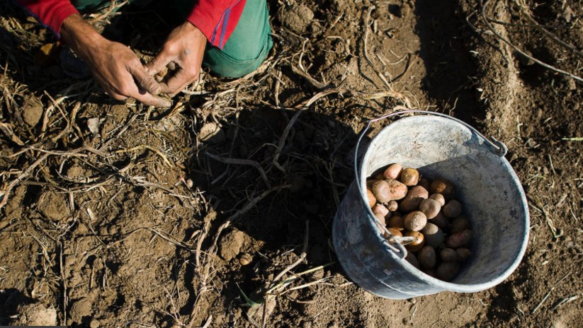 Menczer államtitkár megint nem tudott igazat mondani