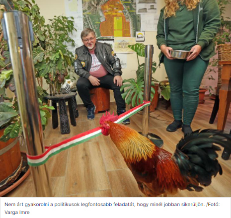 Heti Tapló – avagy szemezgetés a múlt hét történéseiből