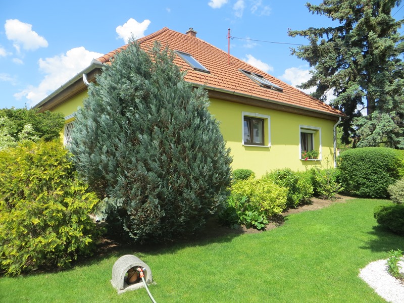 Romlik a pénzünk: csaknem ötödével drágultak az ingatlanok egy év alatt