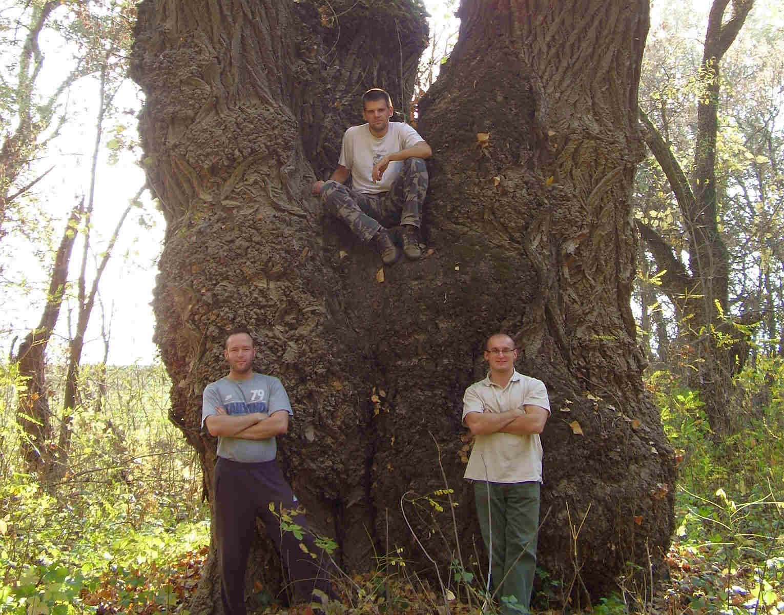 A famatuzsálemek védelméért küzd a fiatal kutató