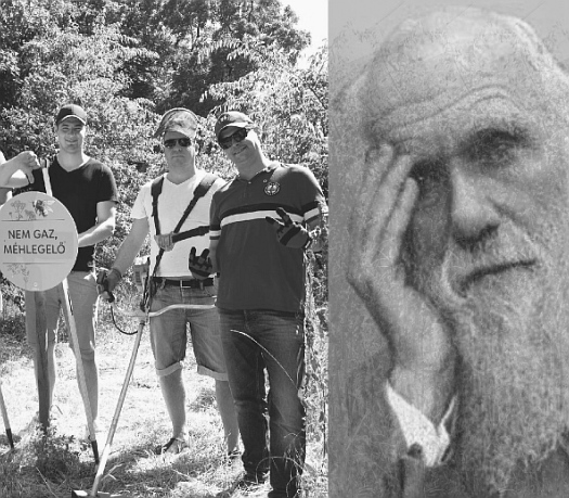 Méhlegelők, kretének, magyar nyomor