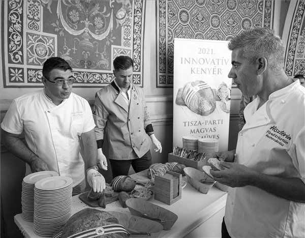 Össznemzeti nagy mulatság