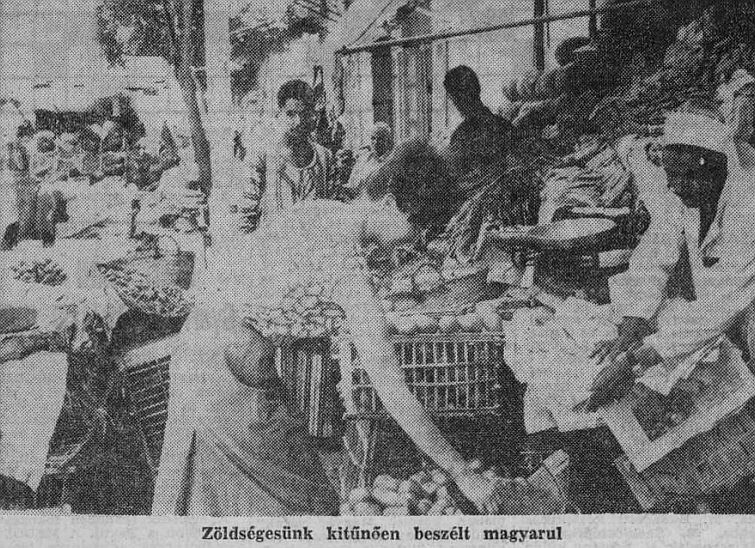 Az újságíró archívumából – Kairóban született a kislegény