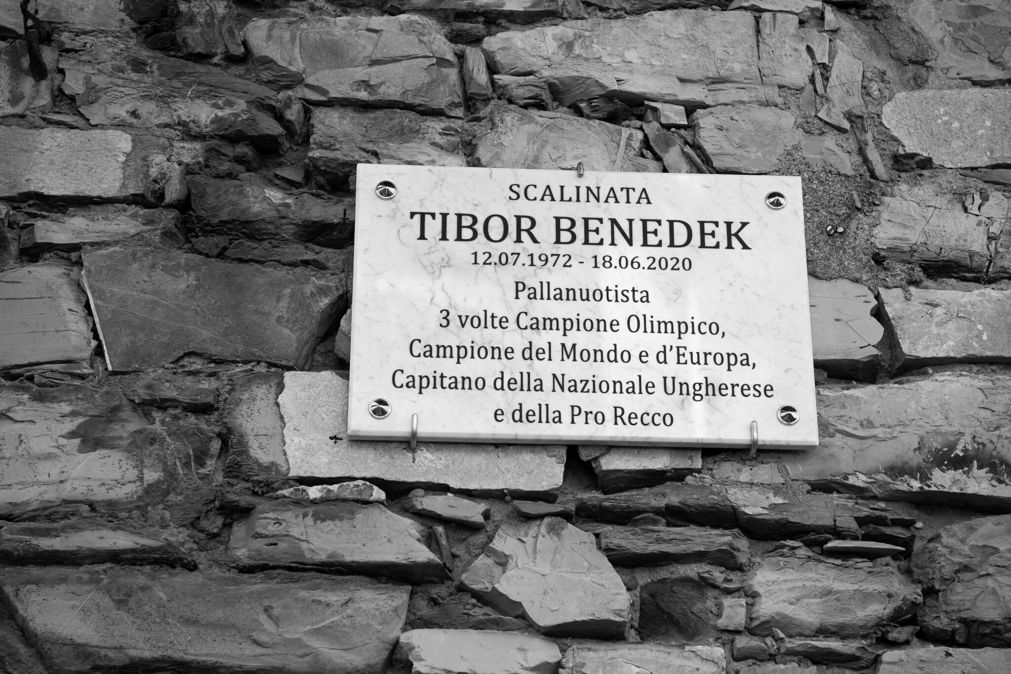 Benedek Tibor – Recco (Olaszország)