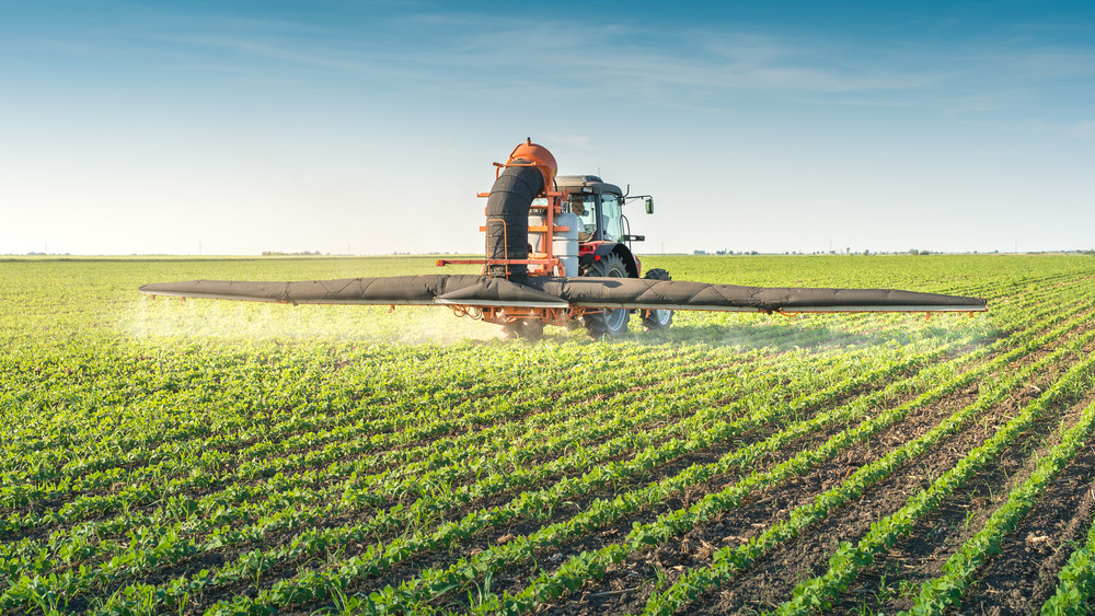 Növényvédőszer-csökkentés: nagy kihívás az uniós előírás