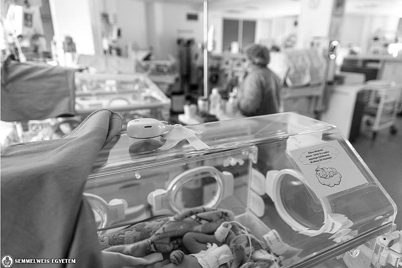 Európai ötlet és cselekedet – webkamera az inkubátorban