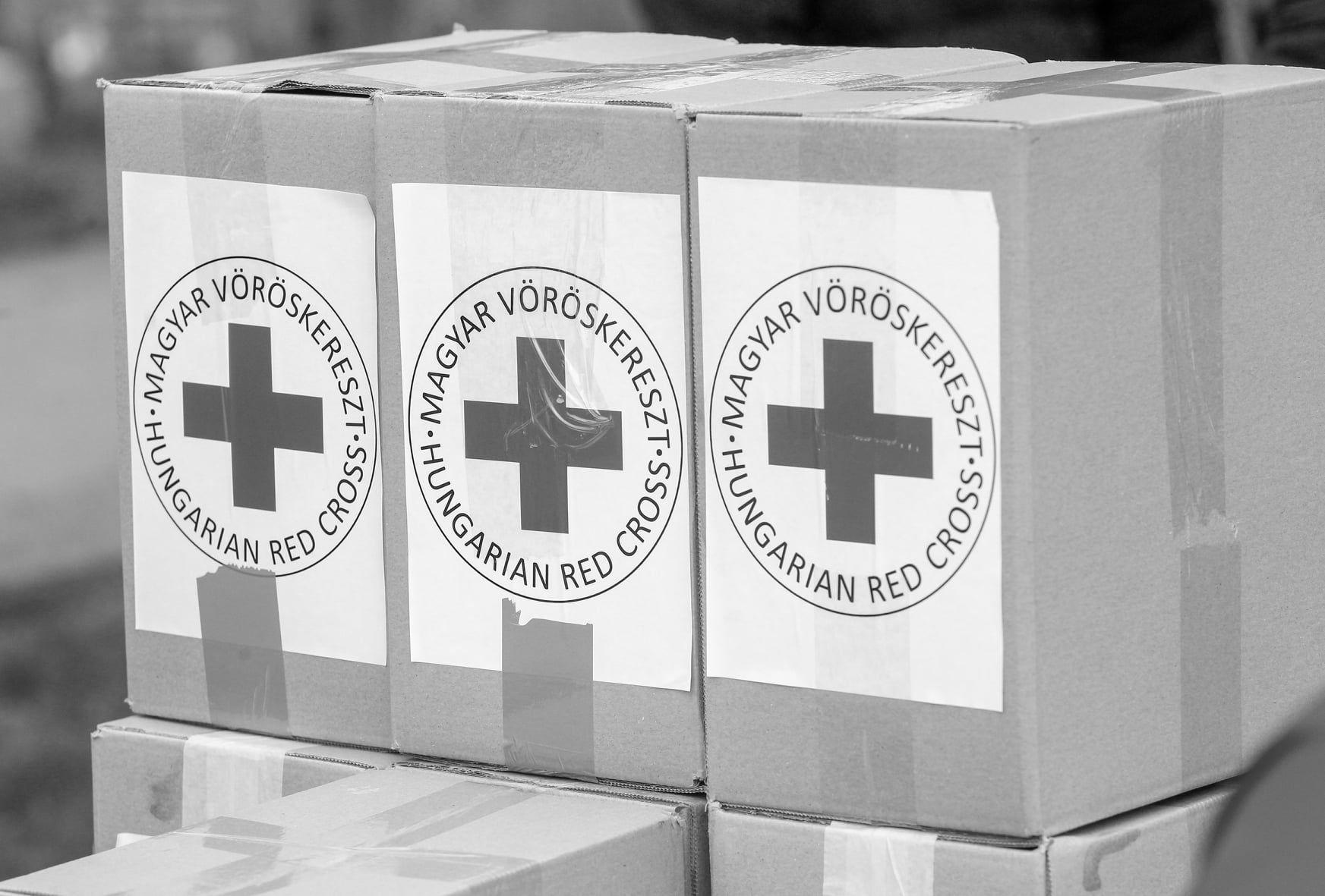 Vöröskereszt+Telenor: 50 millió forintos Digitális Felzárkóztatási Alap