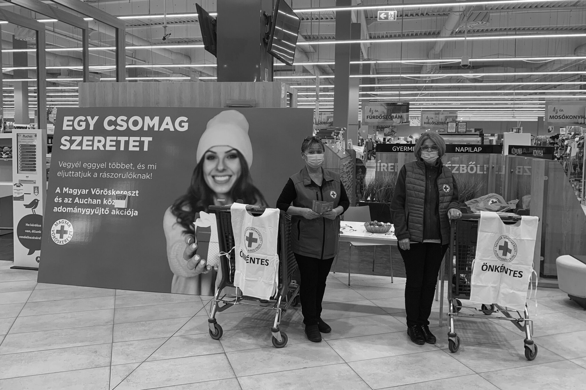 Elkezdődött a Magyar Vöröskereszt országos adománygyűjtése