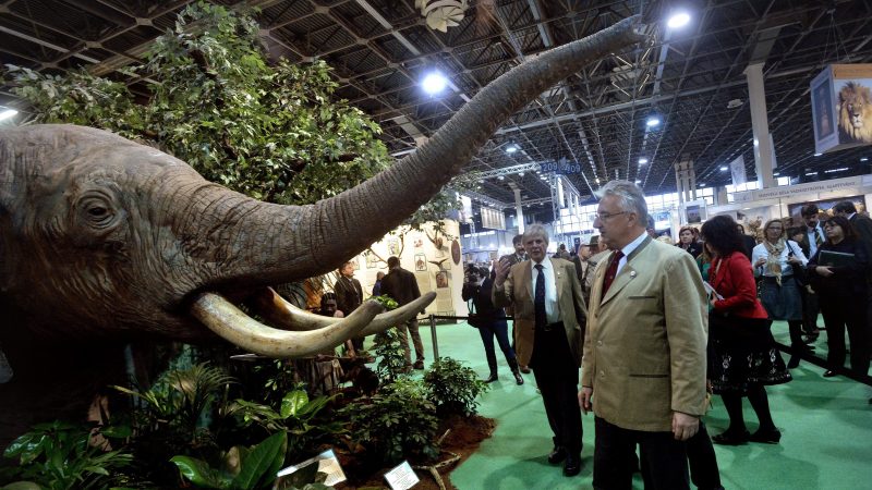 Hetvenhétezermillió forint a vadászati nem-világkiállításra