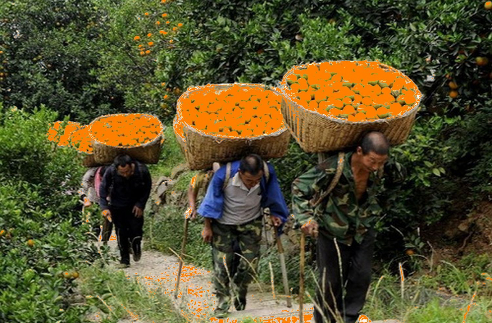 A diktatúrák nem akkor roppannak meg, amikor a legelviselhetetlenebbek