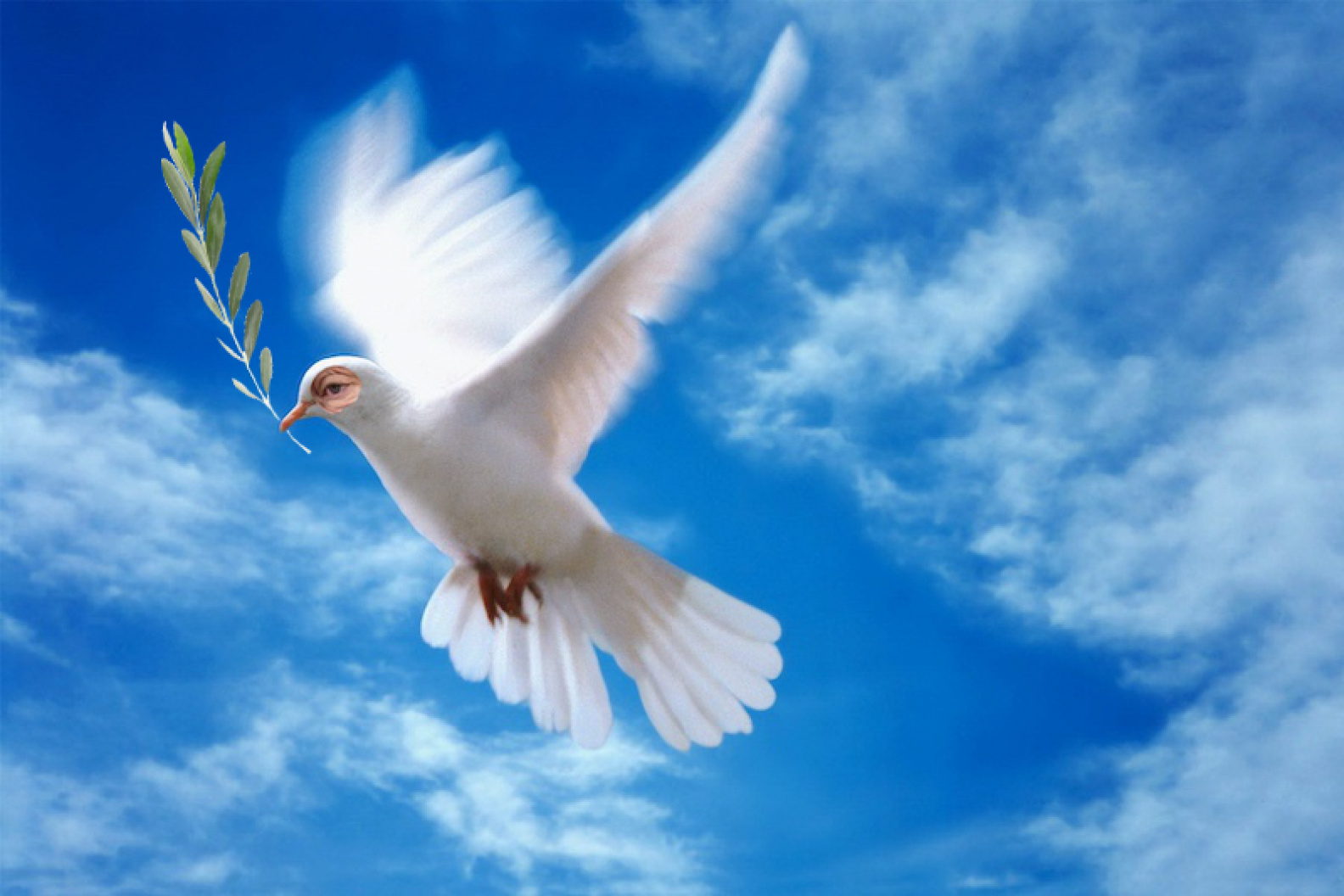 Orbán Viktor hazudik