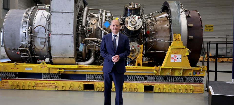 Gerhard, a gázos békegalamb