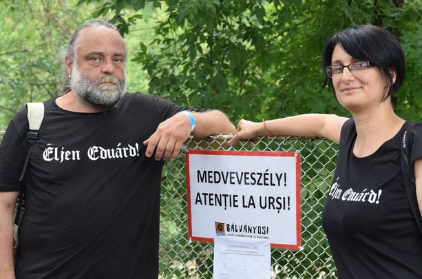 Tusványosi medveveszély