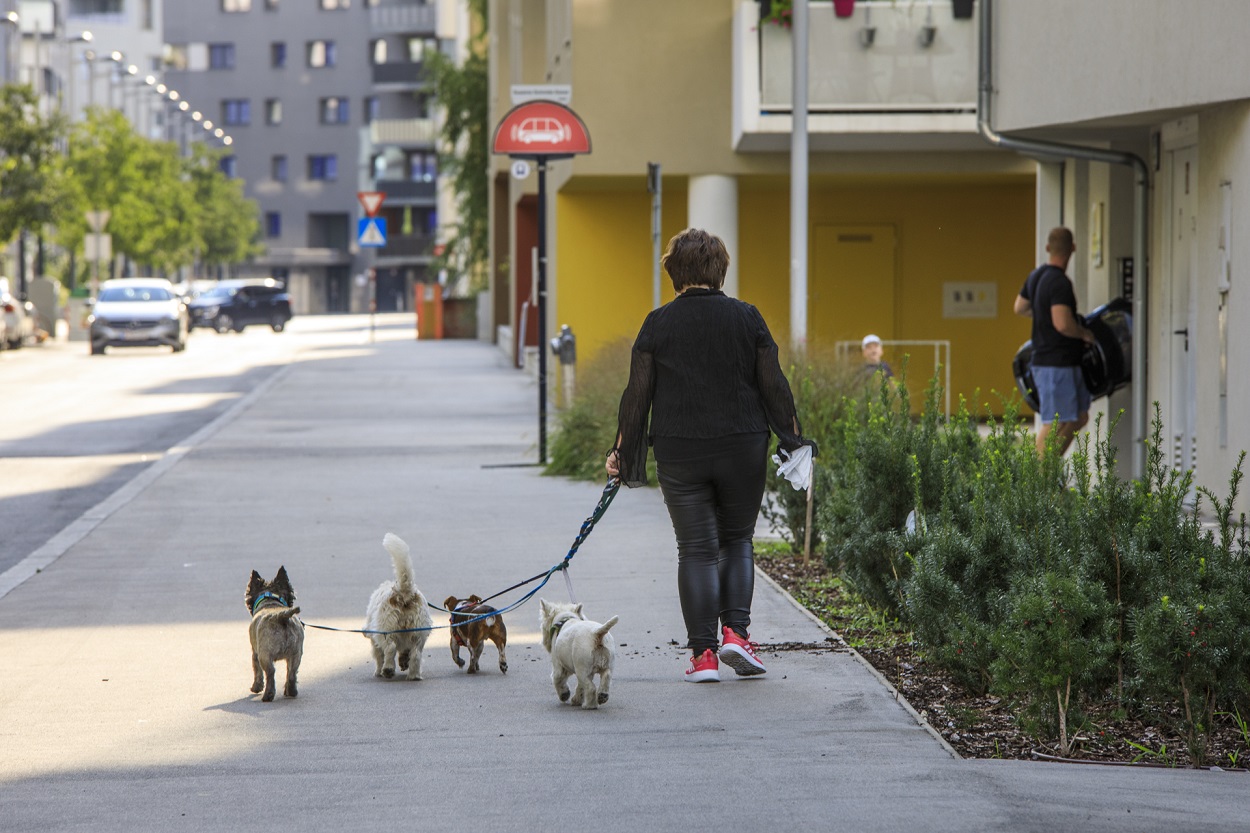 Januártól ebfelügyelők is ellenőrizhetik a kutyásokat Bécsben