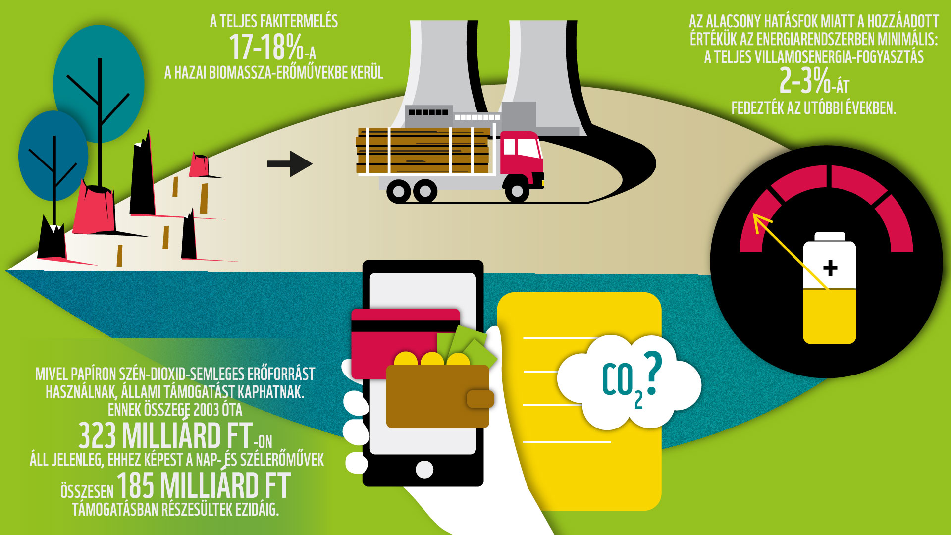 Állami támogatással égetjük az erdőt alacsony hatásfokú villamos energiáért
