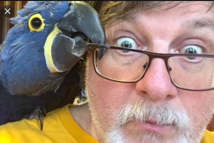 Papagáj- vagy polgárkedvelő dr. Dézsi?