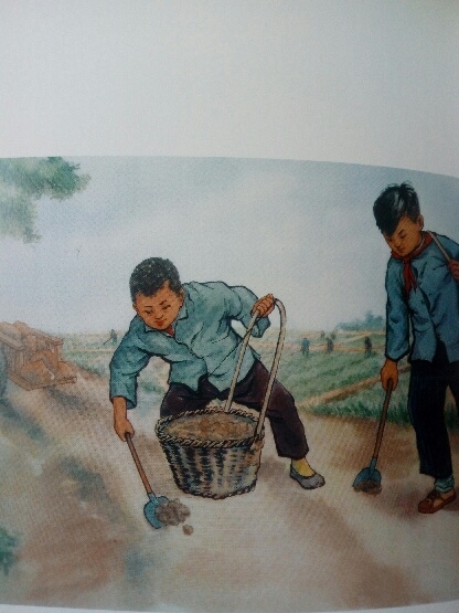 A diplomata archívumából – „Tanuljunk az élenjáró fekália-begyűjtőktől!”