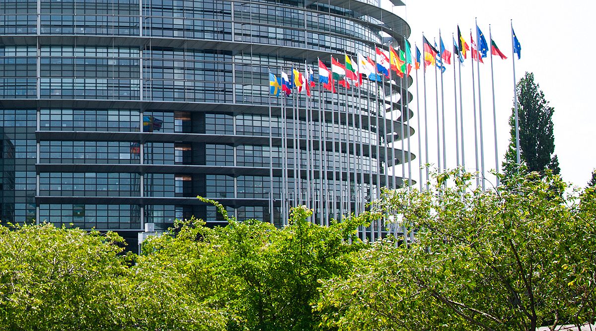 Történelmi győzelem az EU természetvédelme számára a természet-helyreállítási törvény