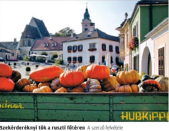 Az újságíró archívumából – Tök jó családi vállalkozás 